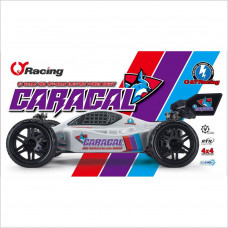 MING YANG CARACAL EP Buggy RTR #7568317