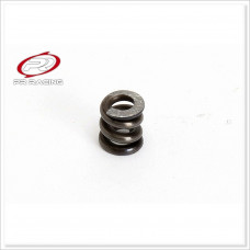 PR Differential Spring-competition type #66401246 [S1]