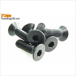 TeamMagic Steel F.H. Screws #126310 [M8JR][M8ER][G4RS][E6 III BES][E6 III][E6][E5][E4RS III][E4D][B8ER]