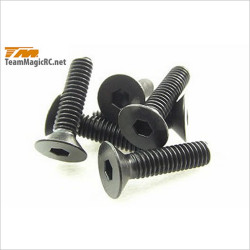 TeamMagic 4x16mm Steel FH Screw (6) #126416 [M8JR][M8ER][B8ER]