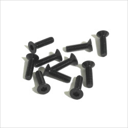 Sworkz M2.6x10mm FH/ST HEX Screw (10pc) #SW-108017 [S14-3][S12-1][S104 EVO][S104 EK1]